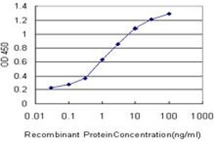 Detection limit for recombinant GST tagged BMP2K is approximately 0.