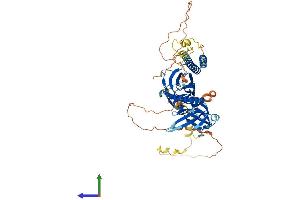AlphaFold protein structure predicition of Mouse Recombinant Rtkn Protein, UniprotID Q8C6B2