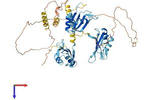 AlphaFold protein structure predicition of Human Recombinant CELF1 Protein, UniprotID Q92879