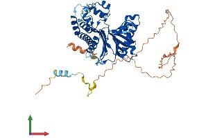 AlphaFold protein structure predicition of Mouse Recombinant Tab1 Protein, UniprotID Q8CF89