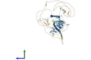 AlphaFold protein structure predicition of Mouse Recombinant Tsc1 Protein, UniprotID Q9EP53