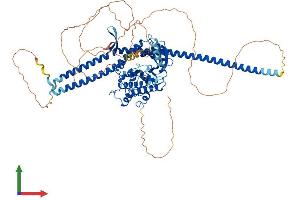 AlphaFold protein structure predicition of Mouse Recombinant Tlk1 Protein, UniprotID Q8C0V0