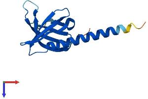 AlphaFold protein structure predicition of Human Recombinant PHLDA3 Protein, UniprotID Q9Y5J5