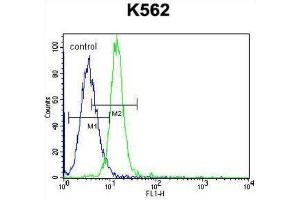 Flow Cytometry (FACS) image for anti-Potassium Voltage-Gated Channel, Subfamily H (Eag-Related), Member 2 (KCNH2) antibody (ABIN3003921)