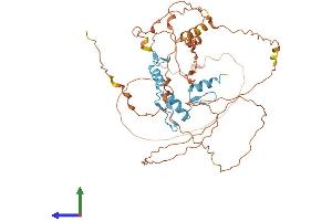 AlphaFold protein structure predicition of Mouse Recombinant Klf5 Protein, UniprotID Q9Z0Z7