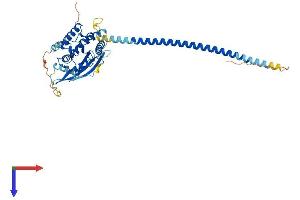 AlphaFold protein structure predicition of Human Recombinant SEPTIN10 Protein, UniprotID Q9P0V9