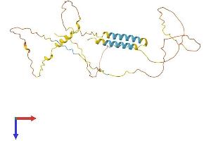 AlphaFold protein structure predicition of Mouse Recombinant Bsnd Protein, UniprotID Q8VIM4