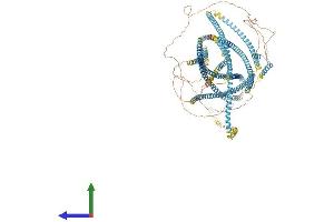 AlphaFold protein structure predicition of Mouse Recombinant Ktn1 Protein, UniprotID Q61595