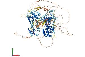 AlphaFold protein structure predicition of Mouse Recombinant Rbl2 Protein, UniprotID Q64700