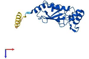 AlphaFold protein structure predicition of Human Recombinant UBE2M Protein, UniprotID P61081
