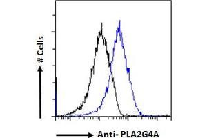 ABIN571180 Flow cytometric analysis of paraformaldehyde fixed A549 cells (blue line), permeabilized with 0. (PLA2G4A anticorps  (Internal Region))