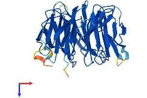 AlphaFold protein structure predicition of Mouse Recombinant Mlst8 Protein, UniprotID Q9DCJ1