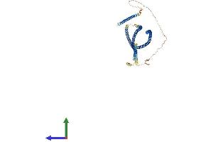 AlphaFold protein structure predicition of Human Recombinant CEP63 Protein, UniprotID Q96MT8