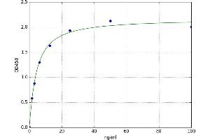 A typical standard curve (FAK Kit ELISA)