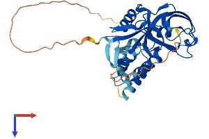 AlphaFold protein structure predicition of Human Recombinant GIPC2 Protein, UniprotID Q8TF65