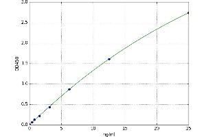 Cytochrome C, Somatic (CYCS) ELISA Kit