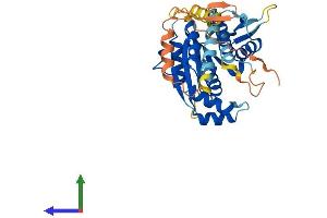 AlphaFold protein structure predicition of Human Recombinant PSTK Protein, UniprotID Q8IV42
