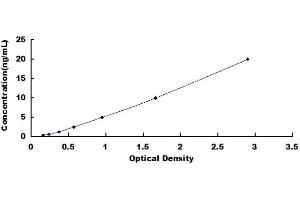 Typical standard curve