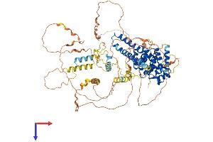 AlphaFold protein structure predicition of Human Recombinant PATL1 Protein, UniprotID Q86TB9