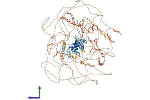 AlphaFold protein structure predicition of Mouse Recombinant Magel2 Protein, UniprotID Q9QZ04