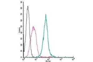 Cell surface detection of Neuropilin-1 by direct flow cytometry in live intact mouse J774 macrophage cells: (black line) Cells.