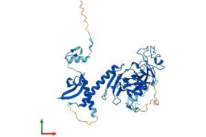 AlphaFold protein structure predicition of Human Recombinant SUV39H2 Protein, UniprotID Q9H5I1