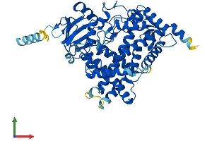 AlphaFold protein structure predicition of Mouse Recombinant Cyp17a1 Protein, UniprotID P27786