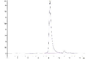 The purity of Mouse ARTN is greater than 95 % as determined by SEC-HPLC.