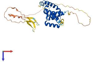 AlphaFold protein structure predicition of Human Recombinant POU6F1 Protein, UniprotID Q14863