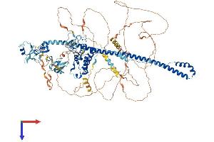AlphaFold protein structure predicition of Mouse Recombinant Trim24 Protein, UniprotID Q64127
