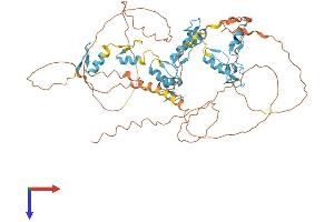 AlphaFold protein structure predicition of Human Recombinant ZNF652 Protein, UniprotID Q9Y2D9