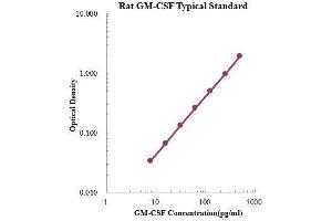 ELISA image for Colony Stimulating Factor 2 (Granulocyte-Macrophage) (CSF2) ELISA Kit (ABIN3198538)