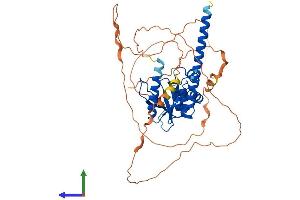 AlphaFold protein structure predicition of Mouse Recombinant Otud1 Protein, UniprotID Q9CUB6