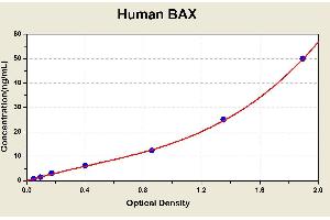 Diagramm of the ELISA kit to detect Human BAXwith the optical density on the x-axis and the concentration on the y-axis.