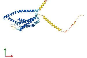 AlphaFold protein structure predicition of Mouse Recombinant Kcnk1 Protein, UniprotID O08581