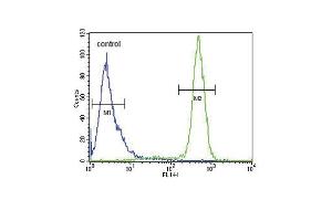 SCN1B Antibody (N-Term) (ABIN654602 and ABIN2844301) flow cytometric analysis of Hela cells (right histogram) compared to a negative control cell (left histogram).