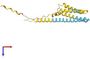 AlphaFold protein structure predicition of Mouse Recombinant Cmtm3 Protein, UniprotID Q99LJ5