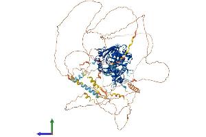 AlphaFold protein structure predicition of Human Recombinant PHF2 Protein, UniprotID O75151