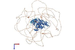 AlphaFold protein structure predicition of Human Recombinant HIPK1 Protein, UniprotID Q86Z02