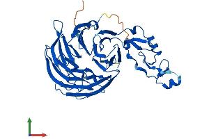 AlphaFold protein structure predicition of Human Recombinant WDFY1 Protein, UniprotID Q8IWB7