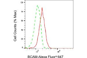 Flow cytometric analysis of BCAM expression in HAP-1 cells using BCAM antibody (ABIN7797732), 1:2,000).