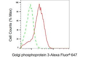 Flow cytometric analysis of Golgi phosphoprotein 3 expression in HepG2 cells using Golgi phosphoprotein 3 antibody (ABIN7798794), 1:2,000). (GOLPH3 anticorps)