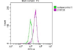 Overlay histogram showing HepG2 cells stained with ABIN7127850 (red line) at 1:50.