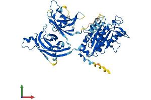 AlphaFold protein structure predicition of Human Recombinant CPNE9 Protein, UniprotID Q8IYJ1
