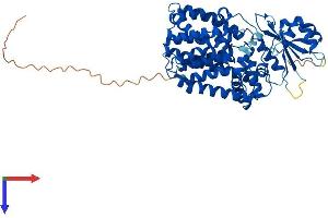 AlphaFold protein structure predicition of Mouse Recombinant Pigb Protein, UniprotID Q9JJQ0