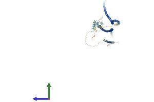 AlphaFold protein structure predicition of Human Recombinant GOLGA1 Protein, UniprotID Q92805