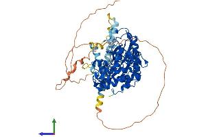 AlphaFold protein structure predicition of Mouse Recombinant Srpk3 Protein, UniprotID Q9Z0G2