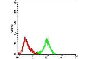 Flow cytometric analysis of LNCAP cells using MYLK mouse mAb (green) and negative control (red). (MYLK anticorps  (AA 1375-1524))