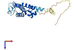 AlphaFold protein structure predicition of Mouse Recombinant Rgs10 Protein, UniprotID Q9CQE5
