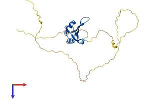 AlphaFold protein structure predicition of Human Recombinant RBM38 Protein, UniprotID Q9H0Z9